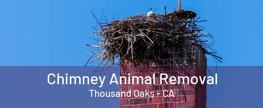 Chimney Animal Removal Thousand Oaks - CA