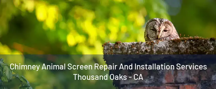 Chimney Animal Screen Repair And Installation Services Thousand Oaks - CA