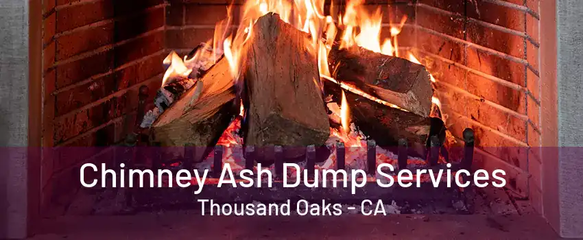 Chimney Ash Dump Services Thousand Oaks - CA