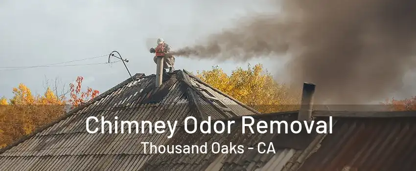 Chimney Odor Removal Thousand Oaks - CA