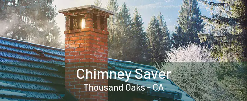 Chimney Saver Thousand Oaks - CA