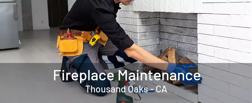 Fireplace Maintenance Thousand Oaks - CA