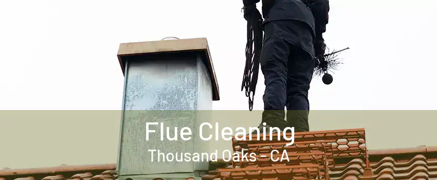 Flue Cleaning Thousand Oaks - CA