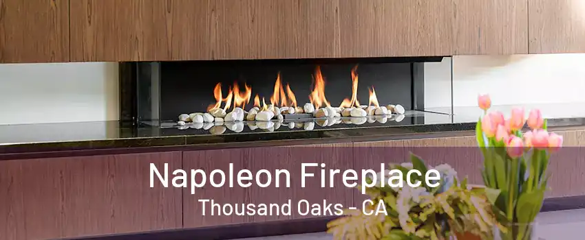 Napoleon Fireplace Thousand Oaks - CA