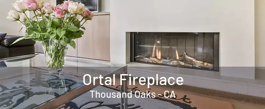 Ortal Fireplace Thousand Oaks - CA